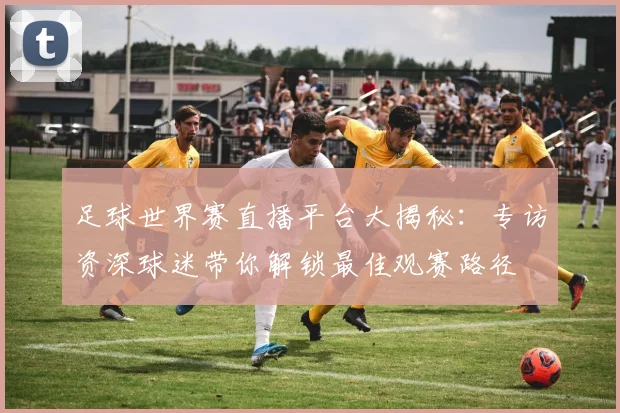 足球世界赛直播平台大揭秘:专访资深球迷带你解锁最佳观赛路径