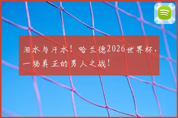 泪水与汗水！哈兰德2026世界杯，一场真正的男人之战！