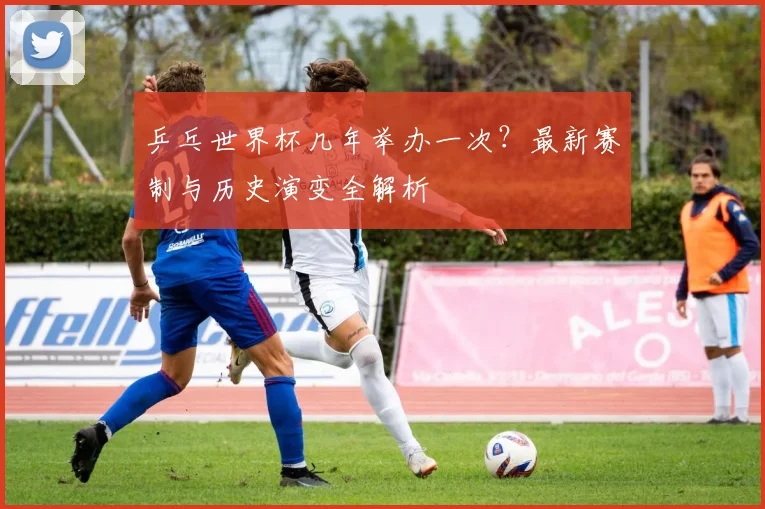 乒乓世界杯几年举办一次？最新赛制与历史演变全解析